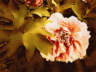 Similar image 7843074