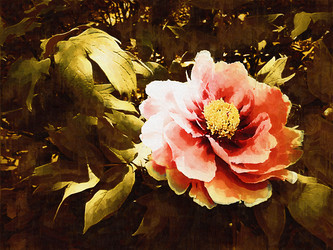 Similar image 7843080