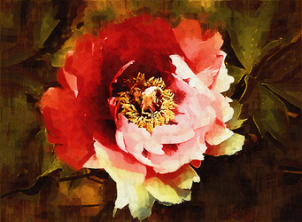 Similar image 7843118