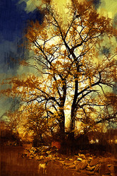 Similar image 7843120