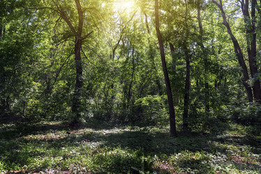 Similar image 7843171