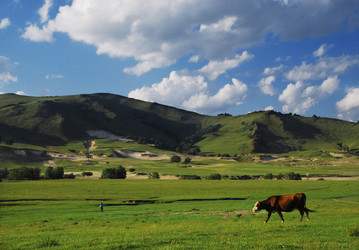 Similar image 7843313