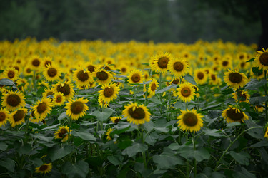 Similar image 7843318