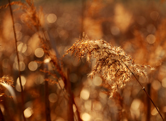 Similar image 7843334