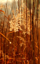 Similar image 7843337