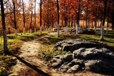 Similar image 7843340