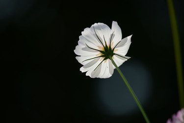 Similar image 7843342