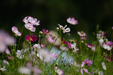 Similar image 7843343