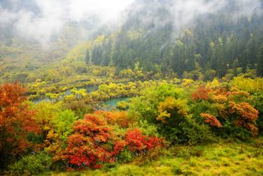 Similar image 7843344