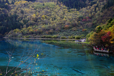 Similar image 7843348