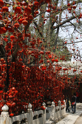 Similar image 7843366