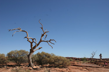 Similar image 7843373