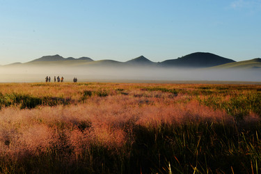 Similar image 7843379