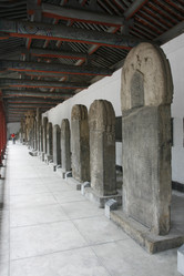 Similar image 7843459