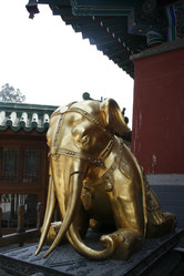 Similar image 7843461