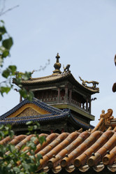 Similar image 7843532