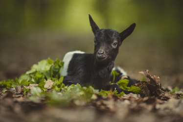 Similar image 7843554