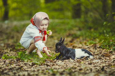 Similar image 7843556