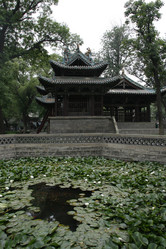 Similar image 7843597