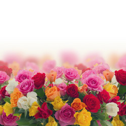 Similar image 7844081