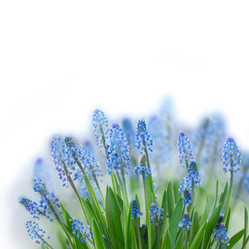 Similar image 7844089