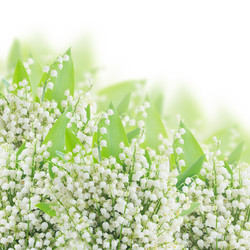 Similar image 7844090