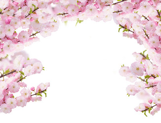 Similar image 7844091