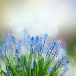 Similar image 7844093