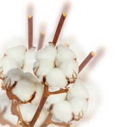 Similar image 7844094