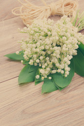 Similar image 7844100