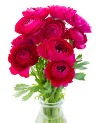 Similar image 7844109