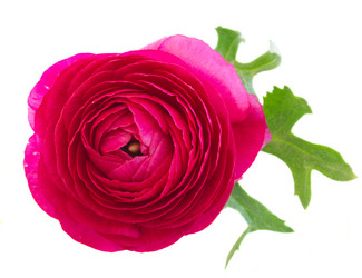 Similar image 7844110