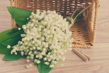 Similar image 7844112