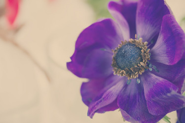 Similar image 7844116