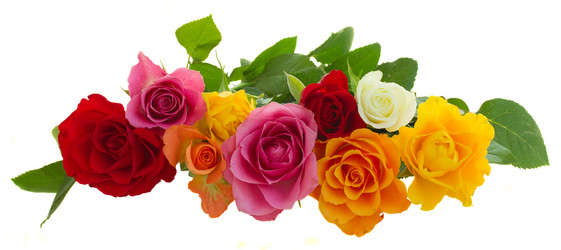 Similar image 7844119