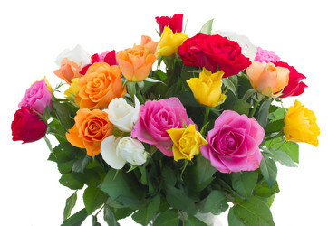 Similar image 7844120