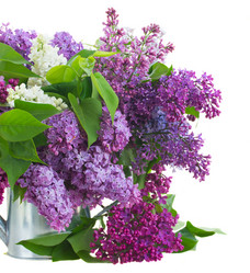 Similar image 7844123