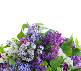 Similar image 7844124