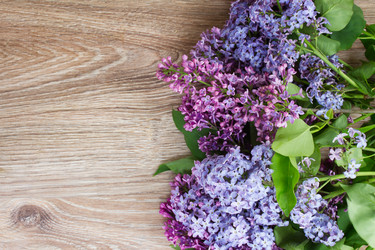 Similar image 7844127