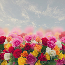 Similar image 7844130