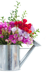 Similar image 7844135