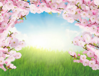 Similar image 7844137