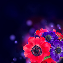 Similar image 7844138