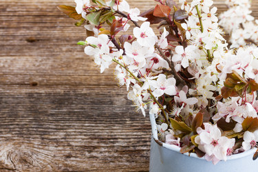 Similar image 7844141