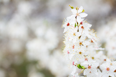 Similar image 7844146