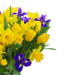 Similar image 7844151