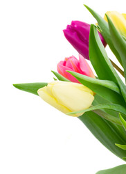 Similar image 7844153