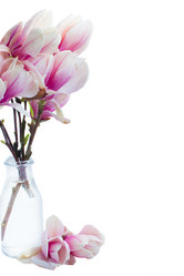 Similar image 7844157