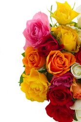 Similar image 7844183