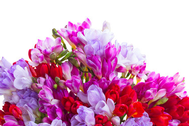 Similar image 7844196